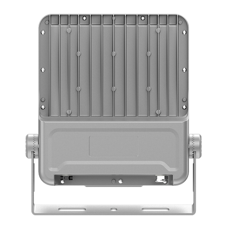PY-FL02-100W Lavenergi LED-flomlys